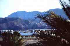 ���� ������ ��� ��� ����